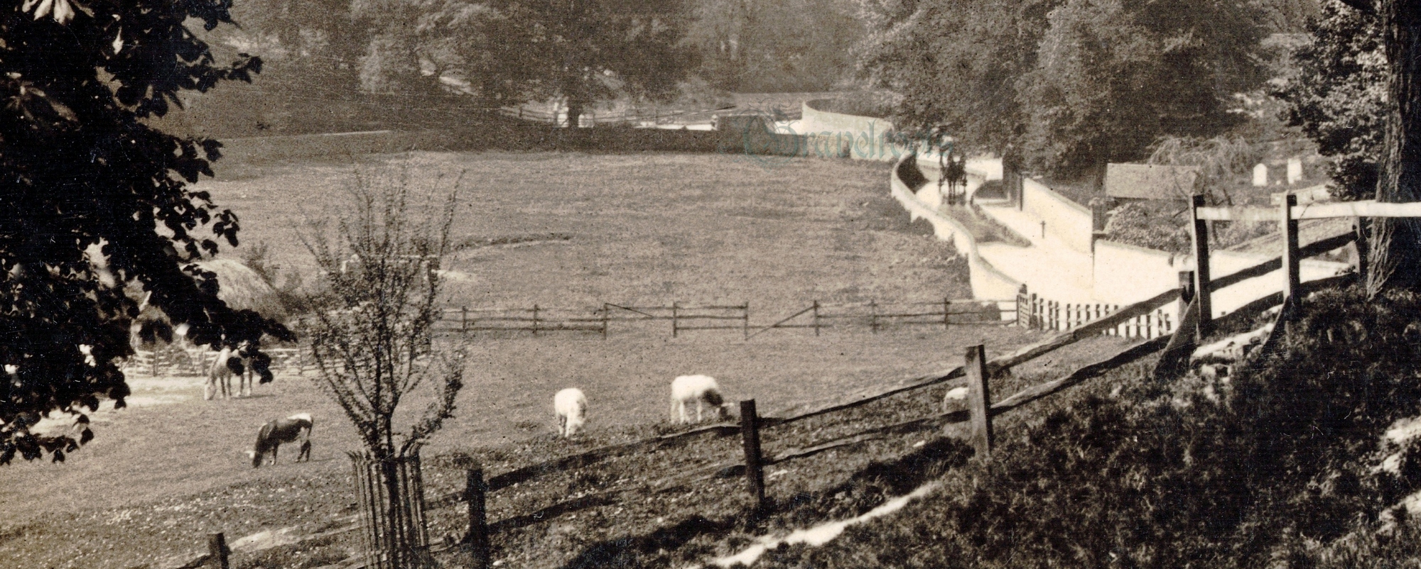 click image to return to album