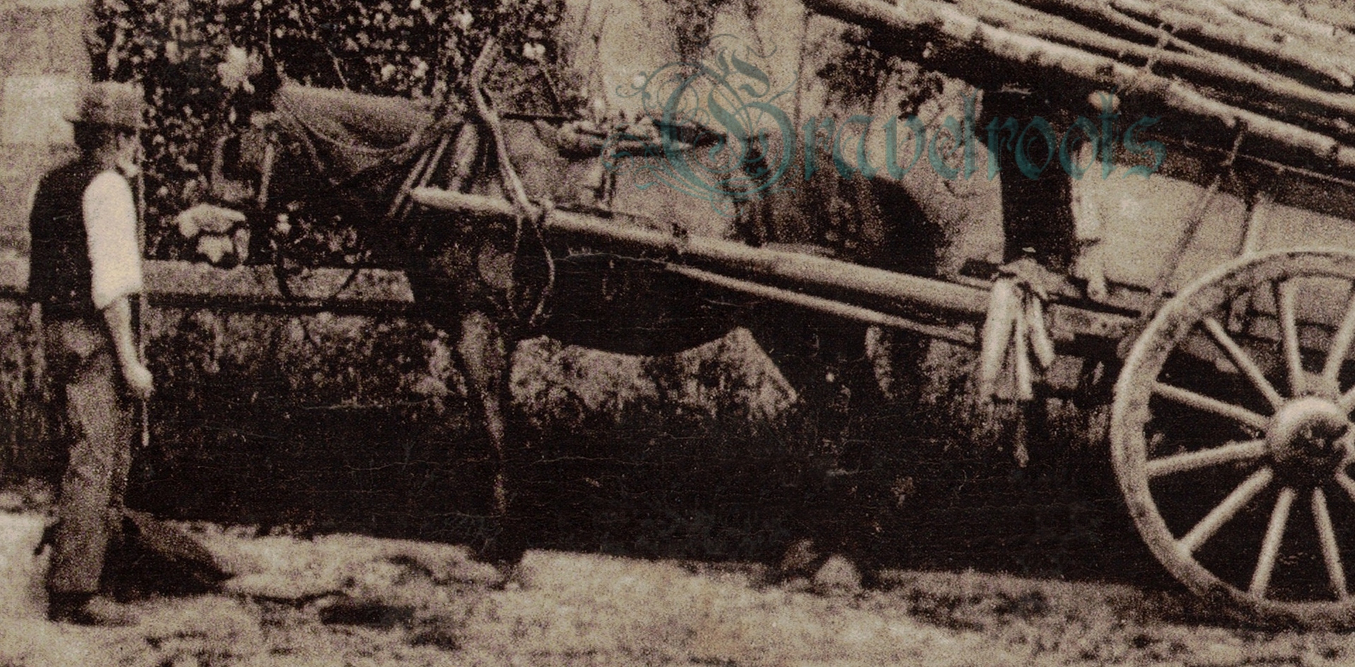 click image to return to album