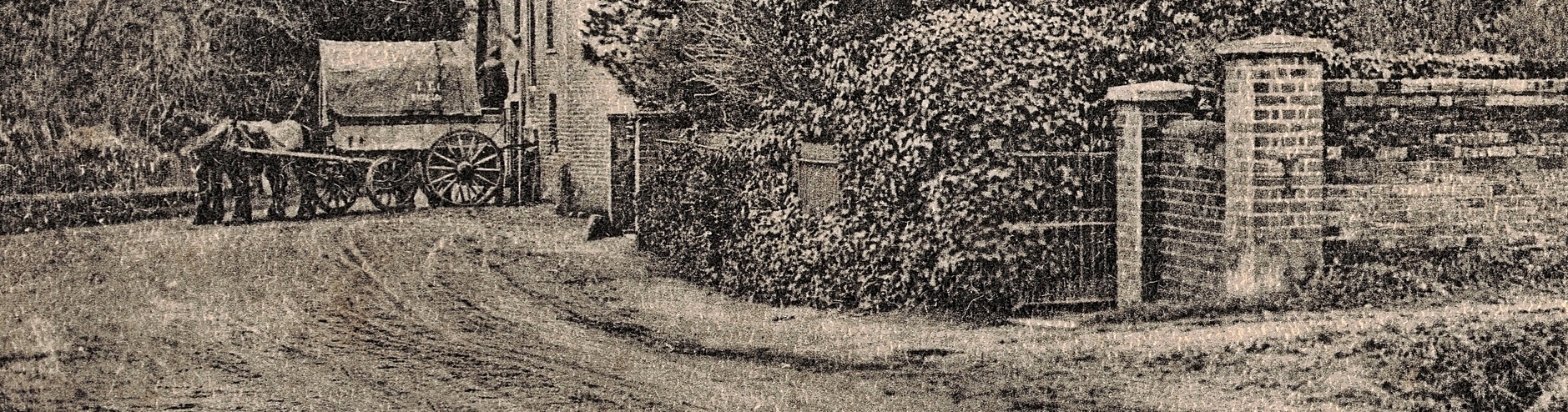 click image to return to album