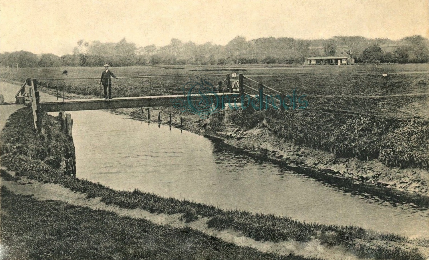 Golf links, Felpham - click image below to return