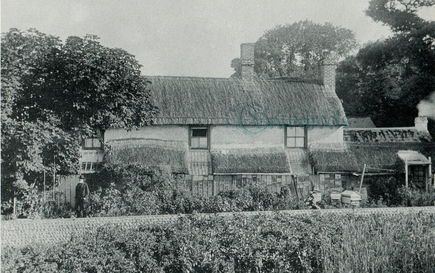 Felpham - click image below to return