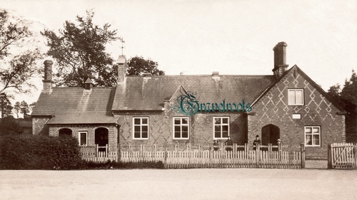 Old Hants