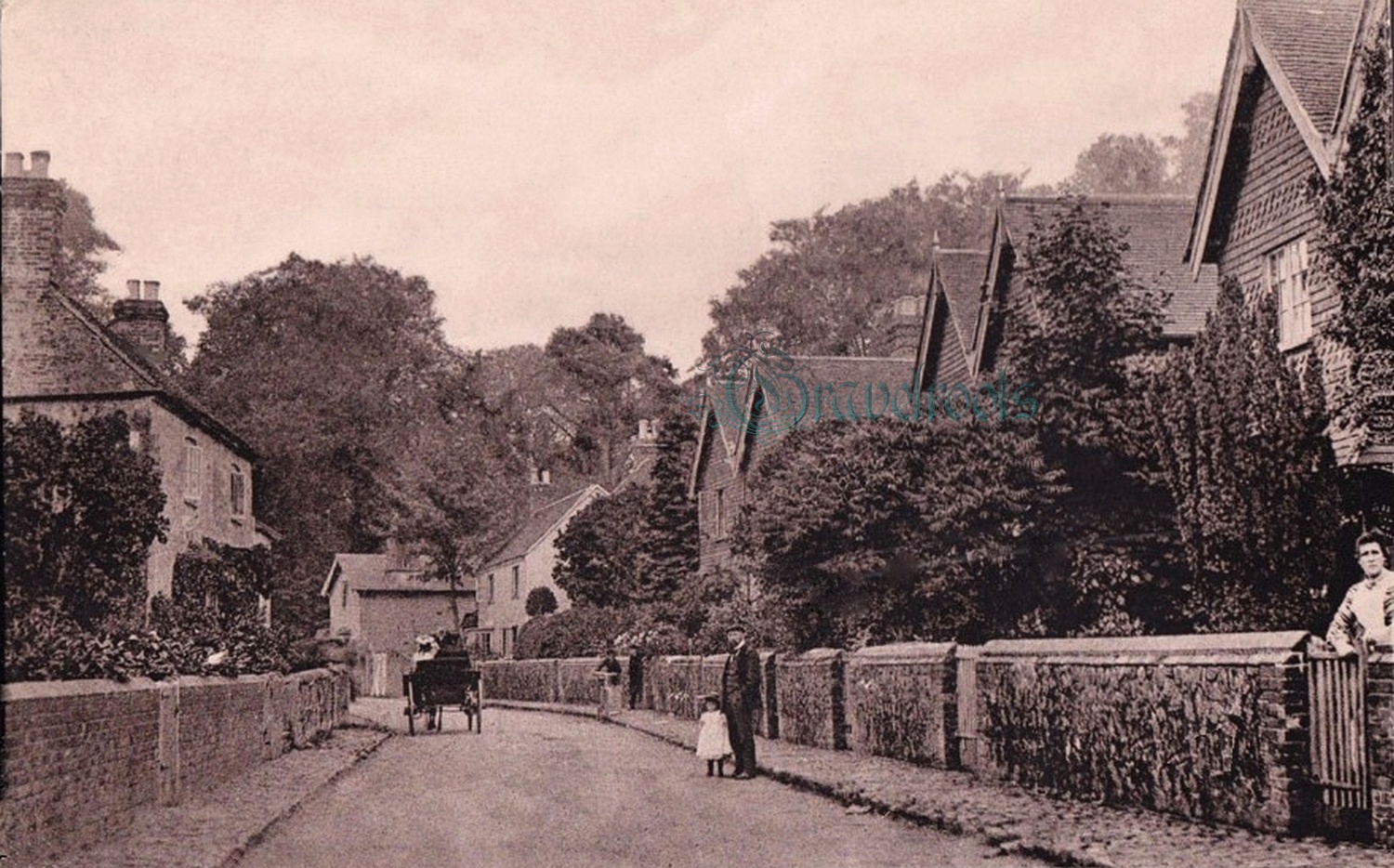 Queen Street, Liphook - click image below to return