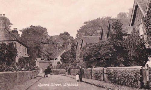 Old Liphook