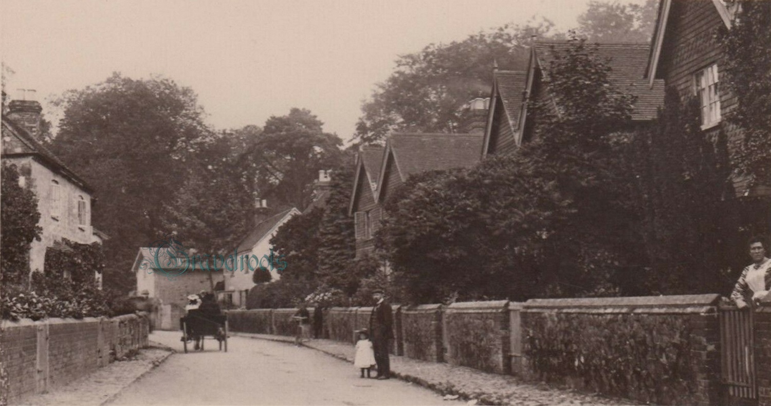 Queen Street, Liphook - click below to return
