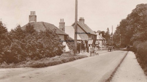 Old Liphook