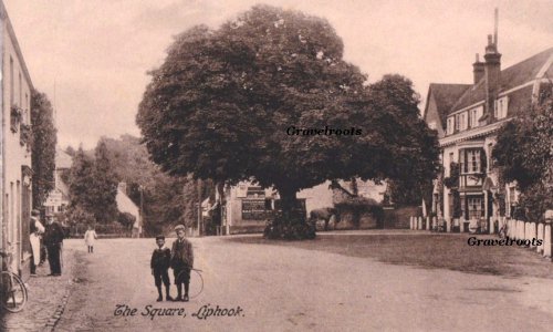 Old Liphook