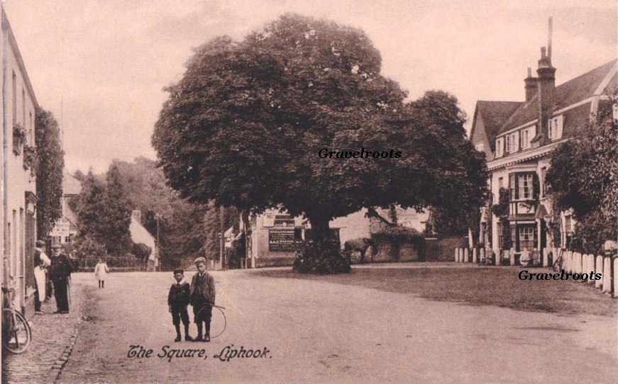 Liphook - click to return