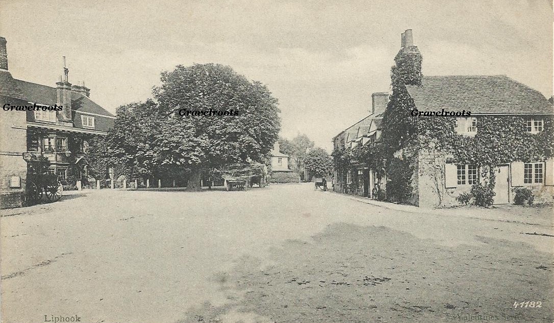 The Square, Liphook - click to return