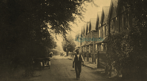 Old Liphook