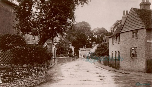 Old Liphook