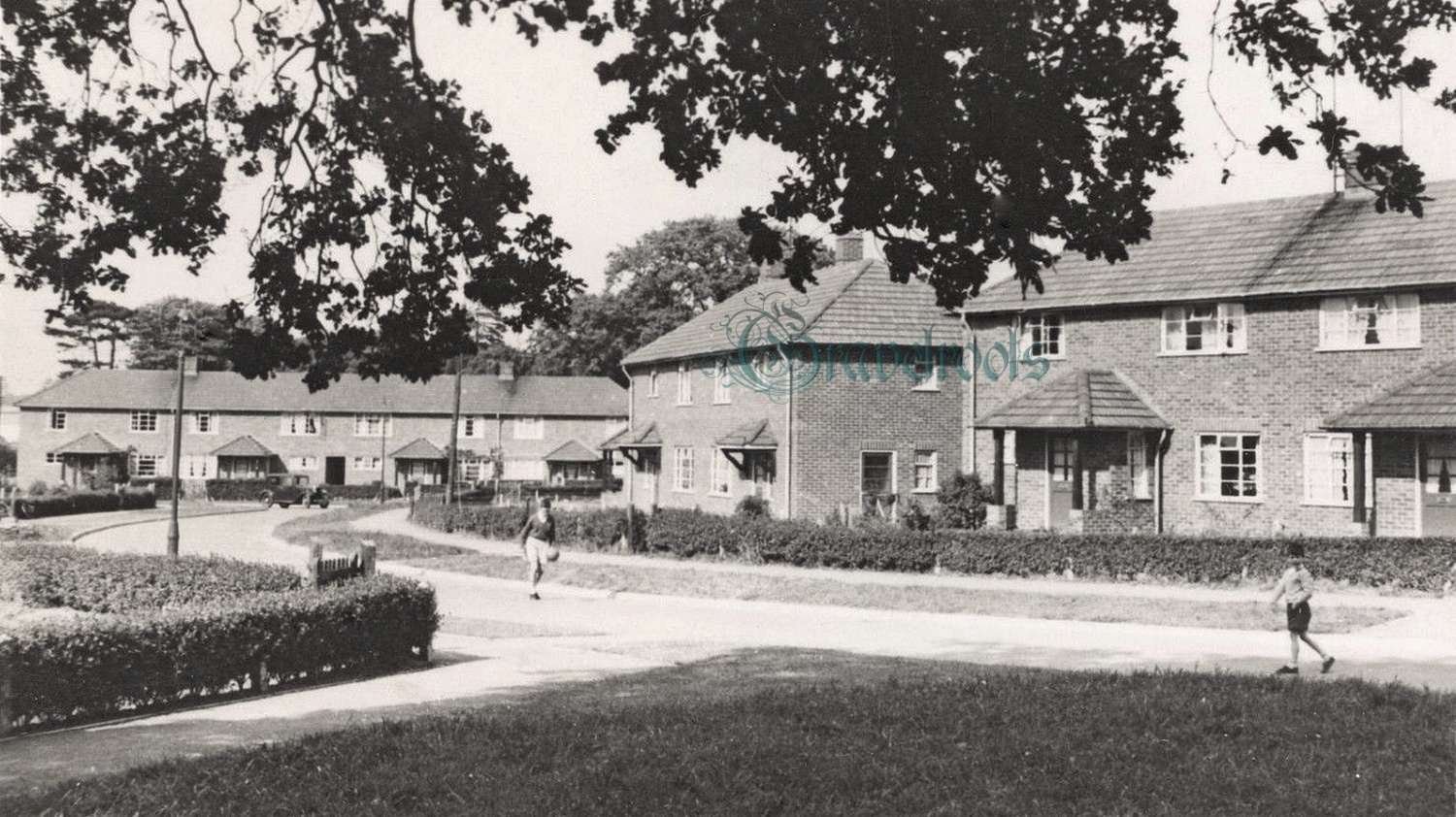  old photos of Gunns Farm, Liphook, Hampshire - click image below to return