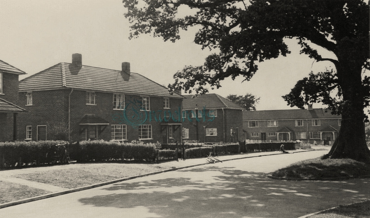  old photos of Gunns Farm, Liphook, Hampshire - click image below to return