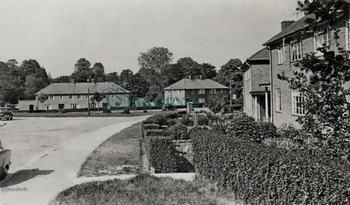 Malthouse Meadows, Liphook