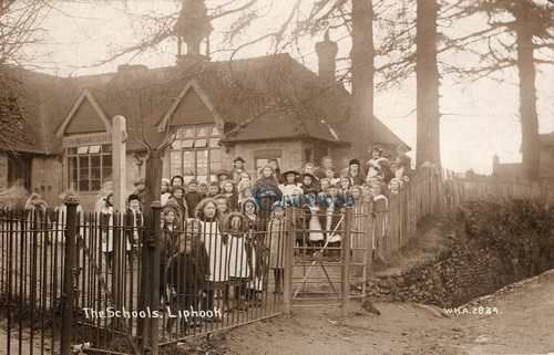 Old Liphook