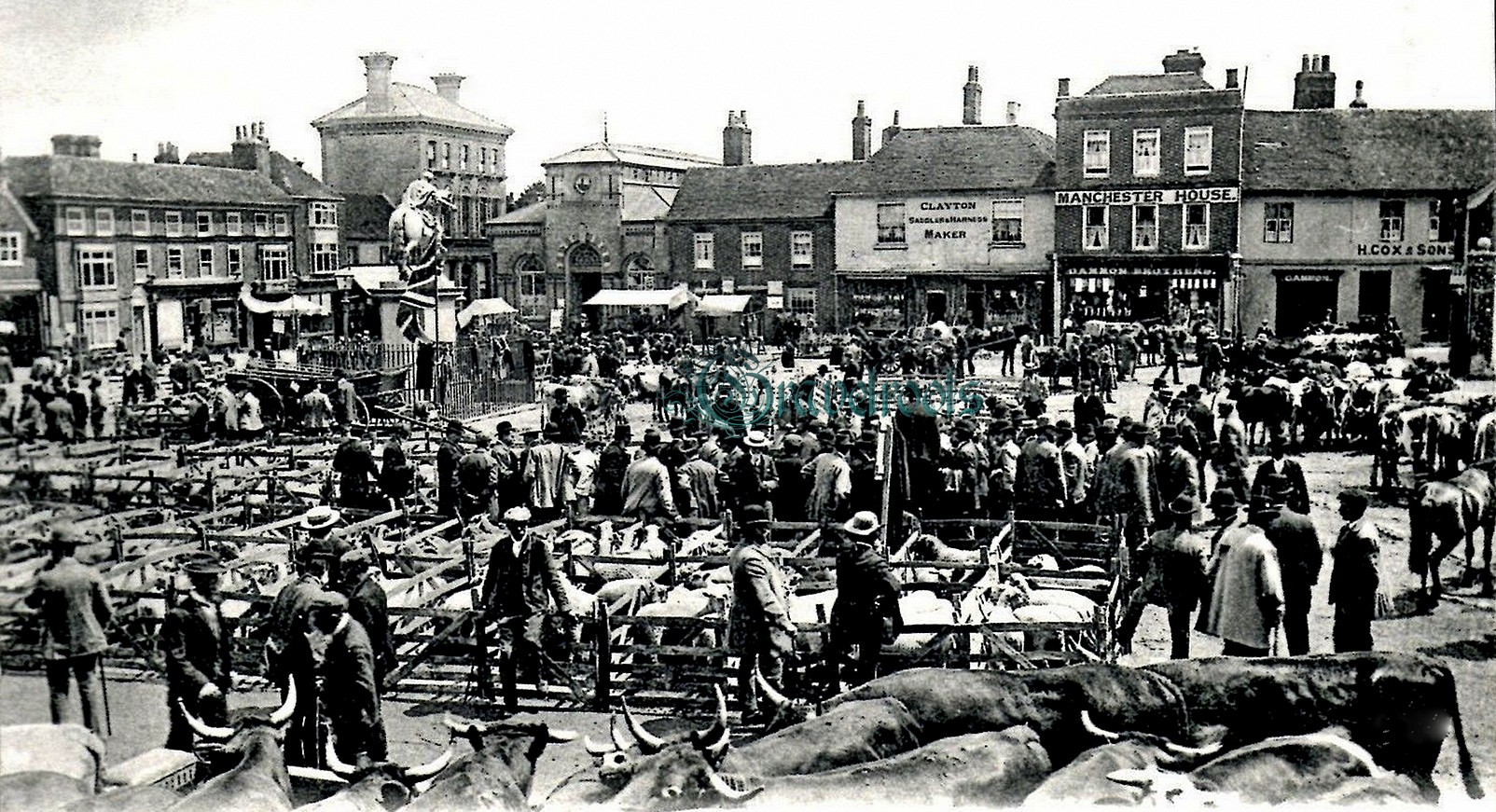 Market Square, Petersfield, Hampshire - click to return
