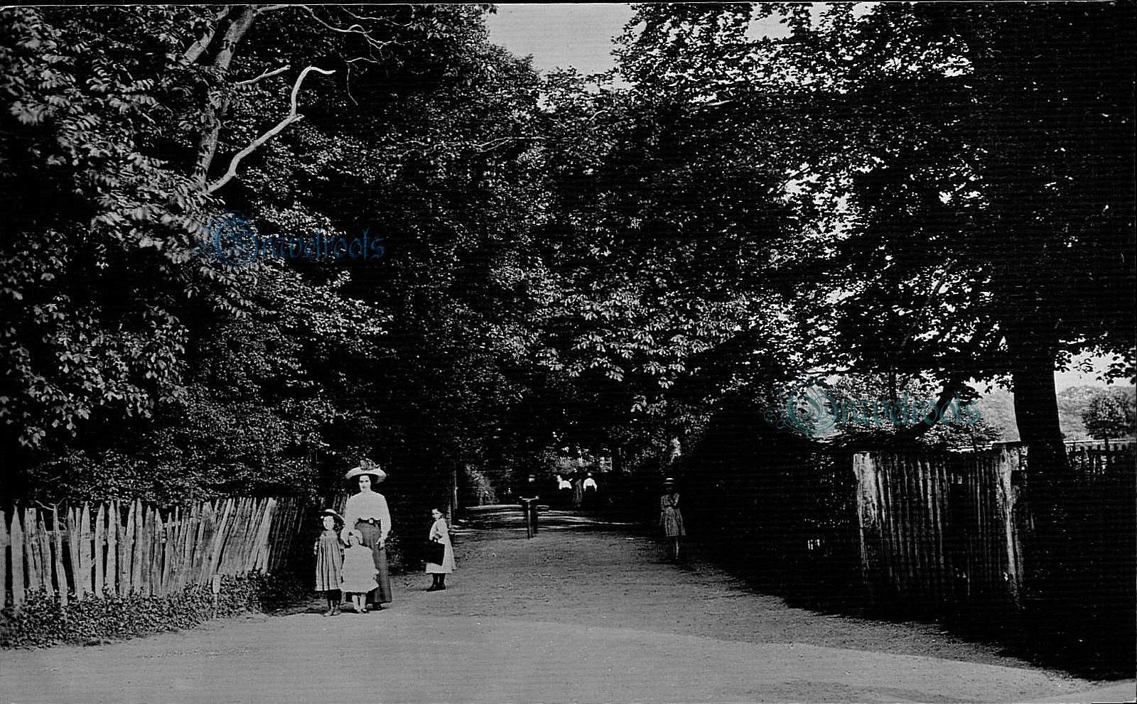 Bath Lane, Fareham, click image to return