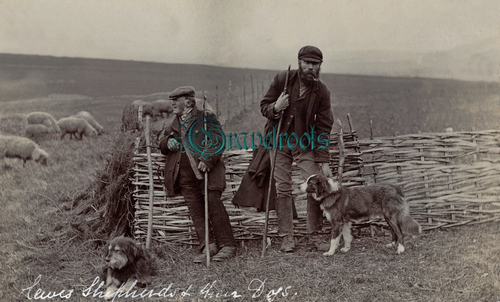 Shepherds and Dogs on the South Downs near Lewes