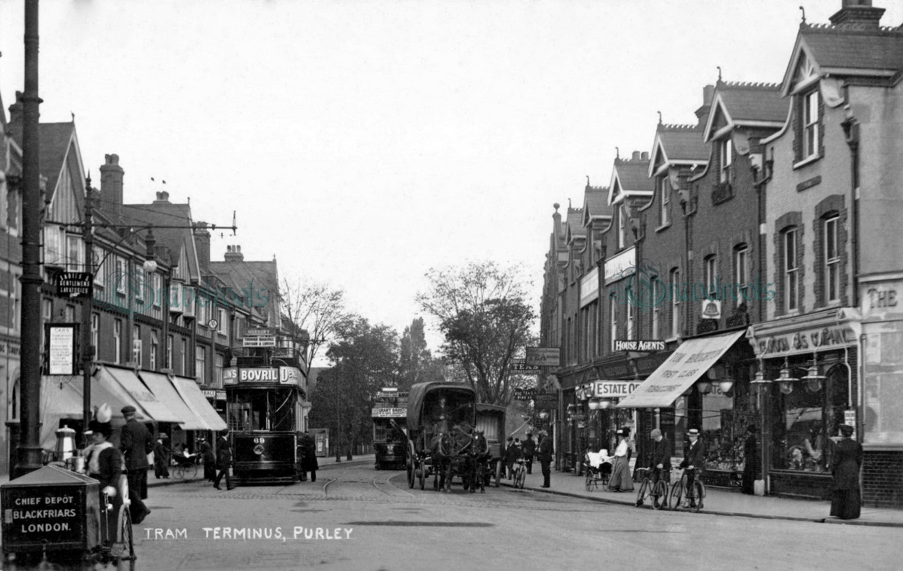  - click image to return