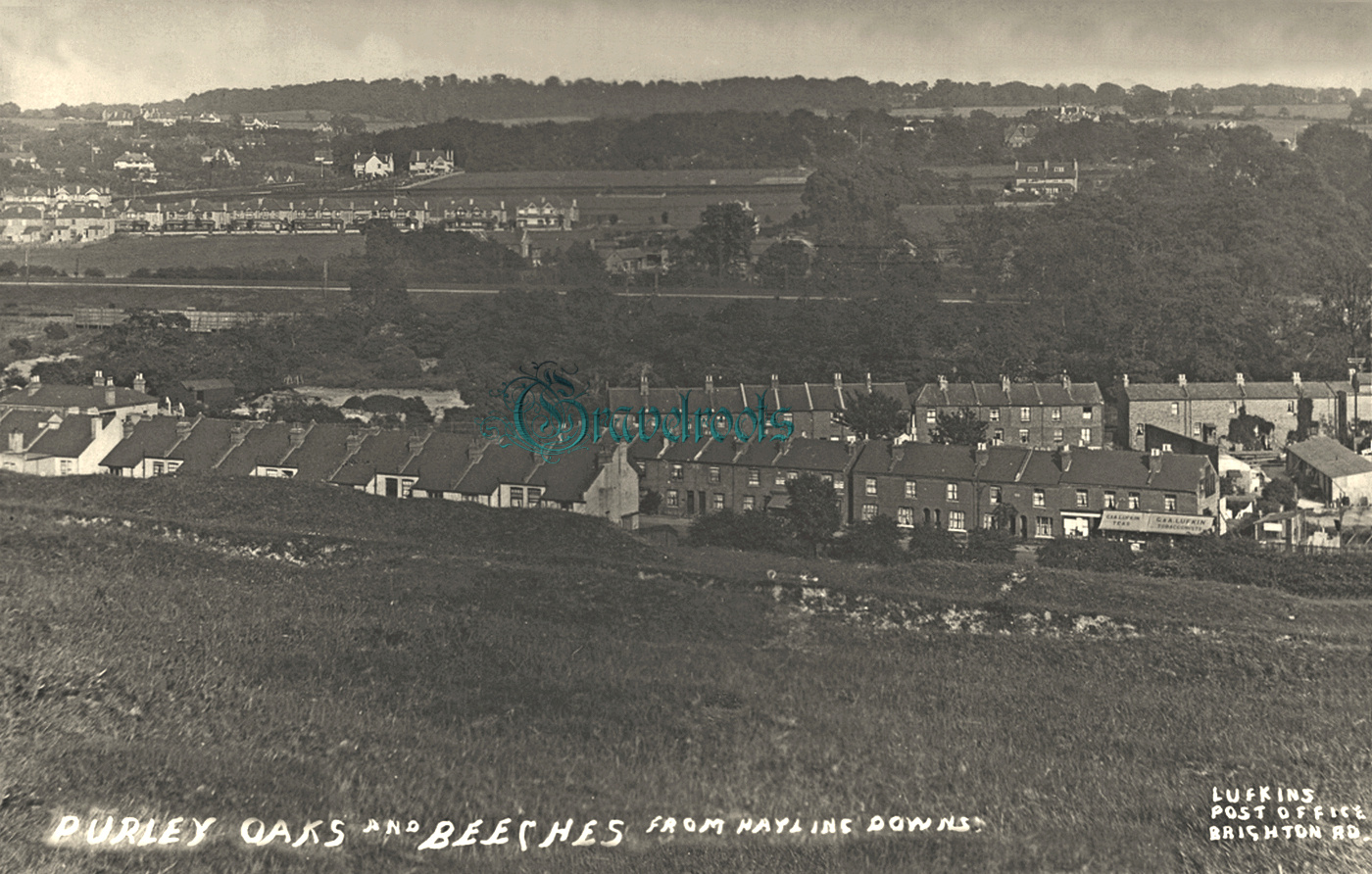  - click image to return