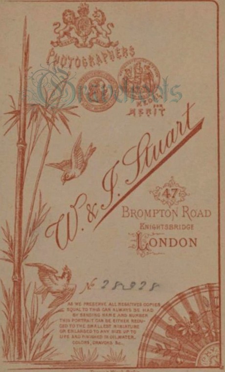 Ref-136, Stuart Bros., photographers, Knightsbridge, London - click to return