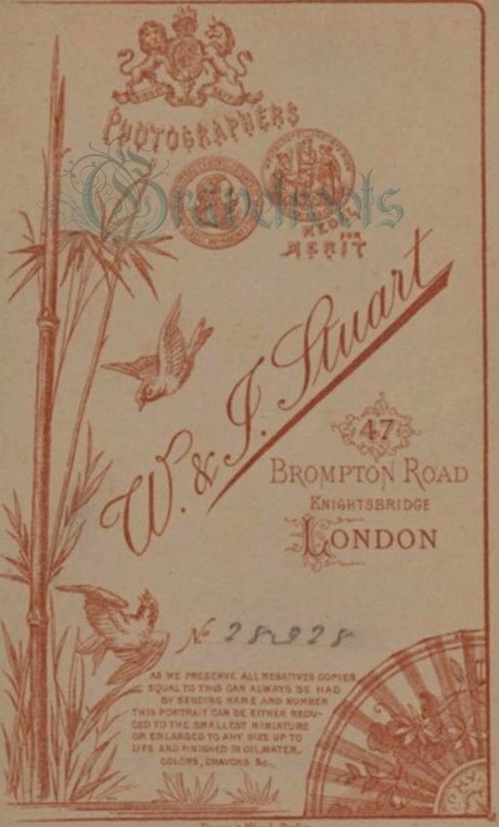 Ref-136, Stuart Bros., photographers, Knightsbridge, London - click to return