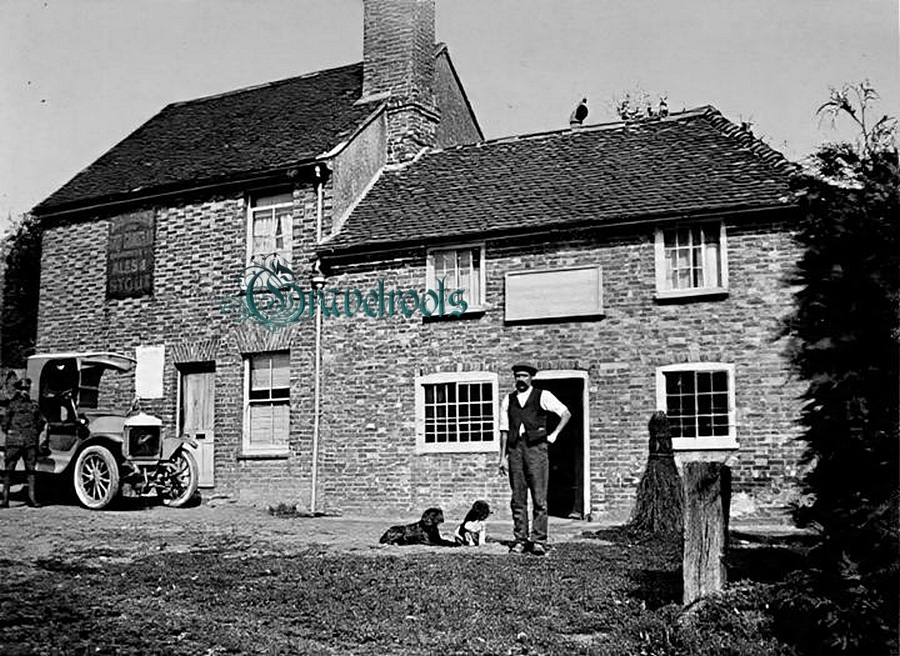 click image to return to album