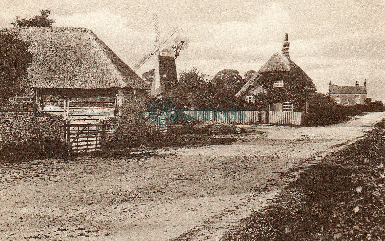 Pagham, click image to return