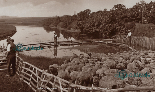 Sheep Washing, River Cuckmere