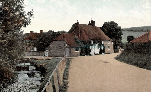 Old Singleton