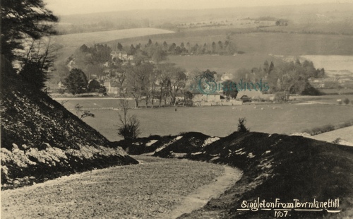 Old Singleton