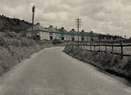 Old Singleton