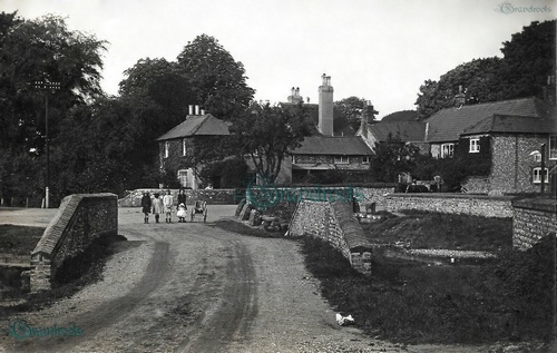 Old Singleton