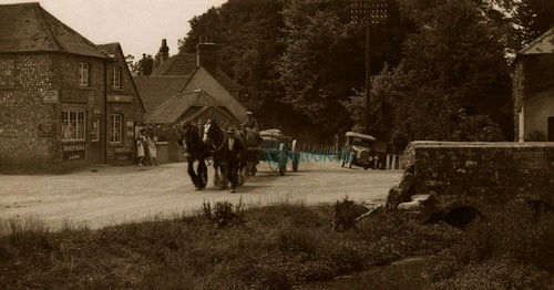 Old Singleton