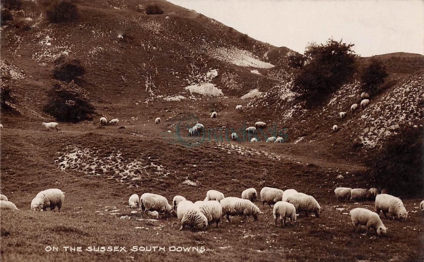  old  Social history photos, Sussex - click image below to return