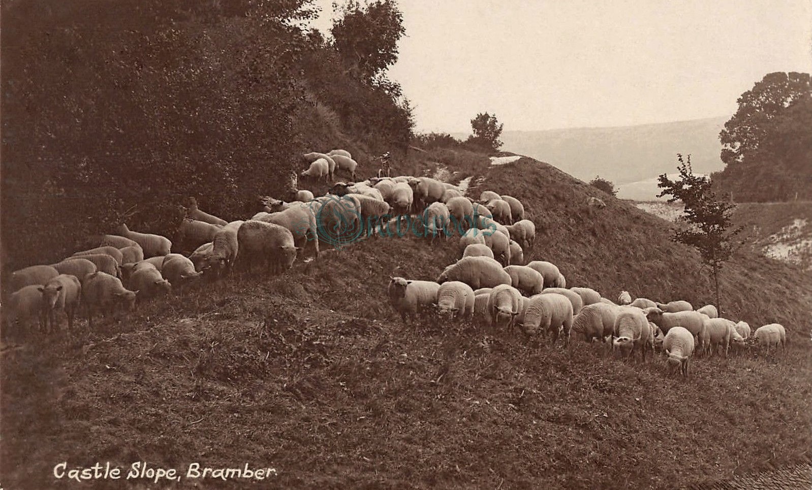  old Social history photos, Sussex - click image to return