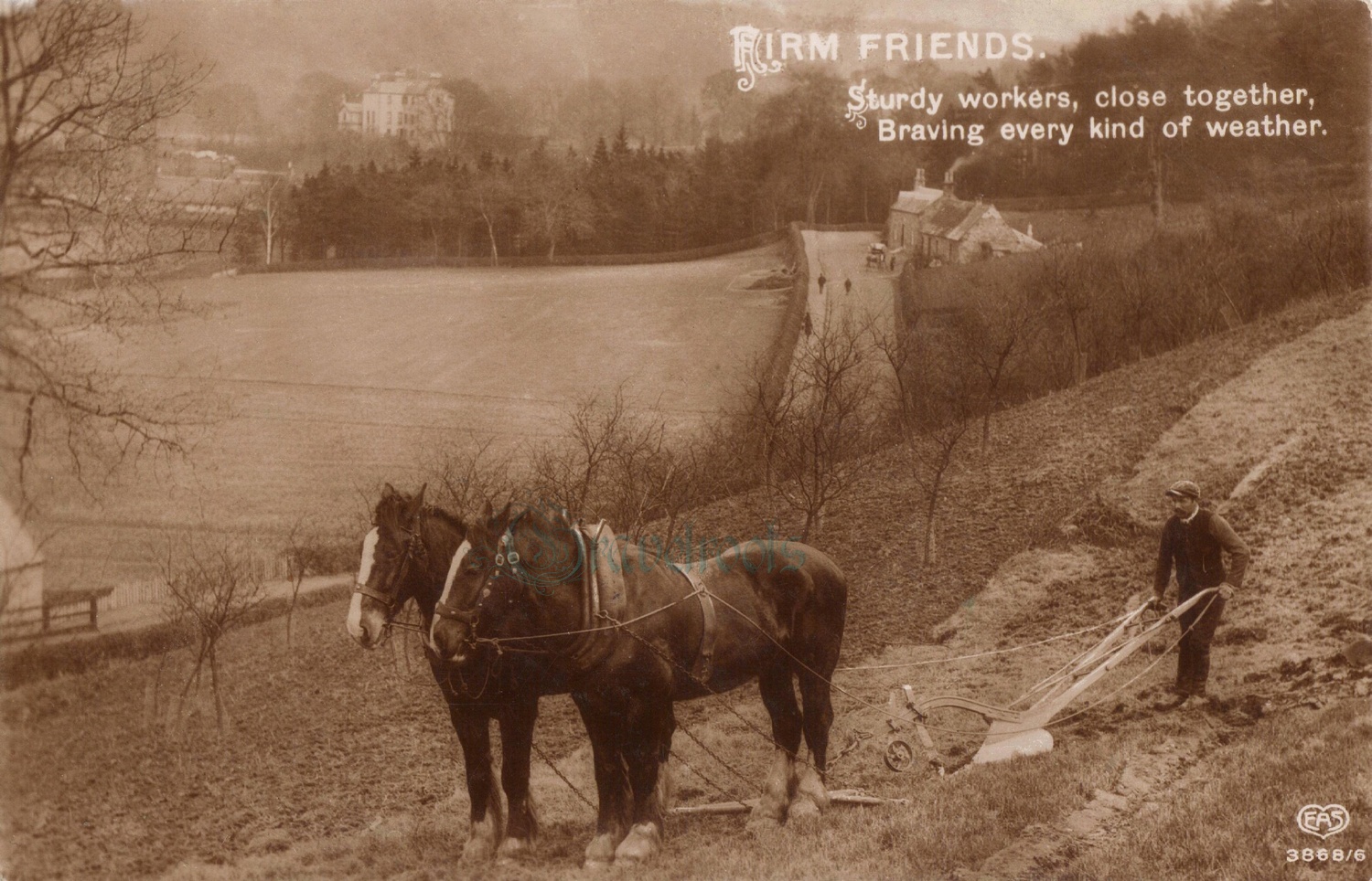 Agricultural Social history photos of ploughing, Sussex - click image below to return