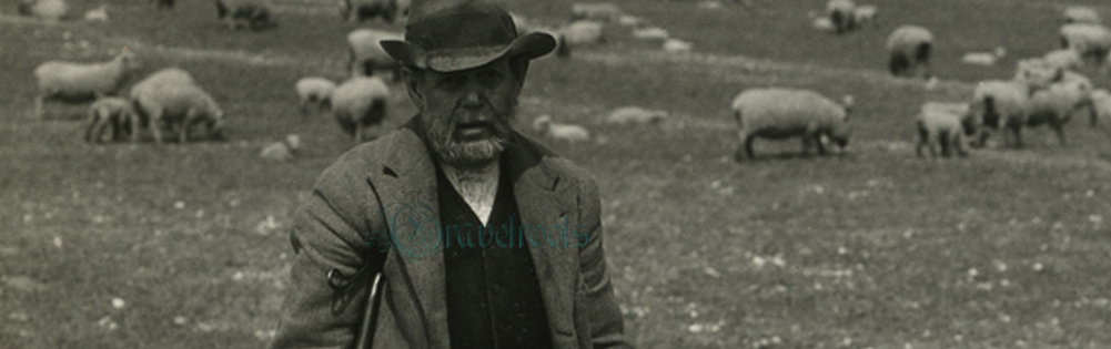  old Social history photos of Shepherd & dog, Downs near Jevington, Sussex - click image to return