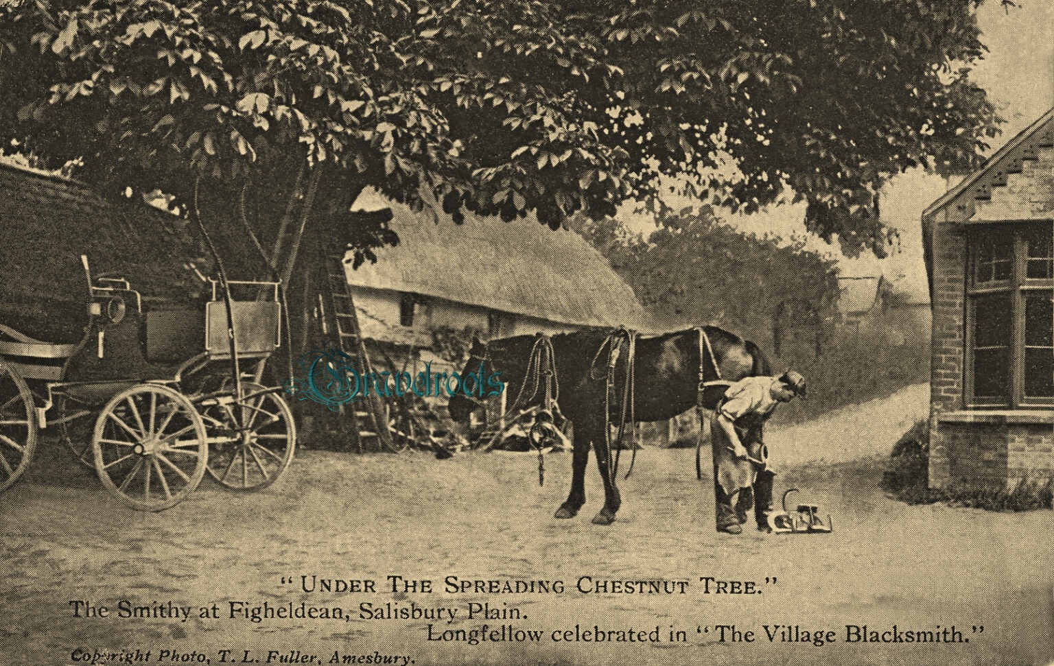  old Social history photos of Figheldean Smithy, Salisbury Plain, Wiltshire - click image below to return