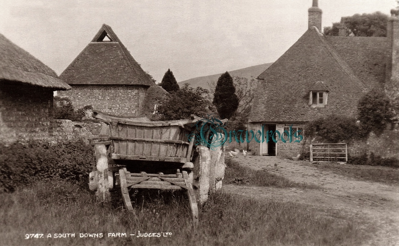  old Social history photos of a Southdowns Farm, Sussex - click image to return