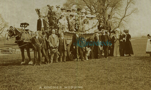 Ringmer Wedding Party