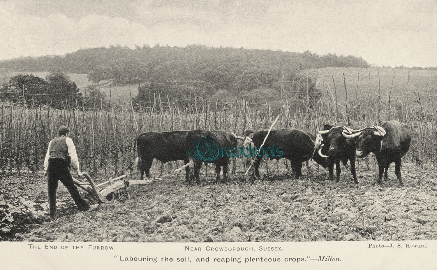  old  Social history photos of , Sussex - click image below to return