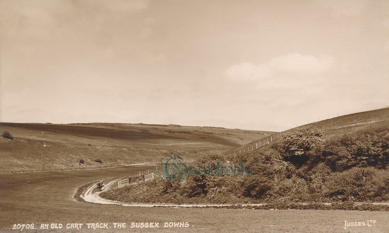 old Social history photos of Old cart track on the South Downs, Sussex - click image to return