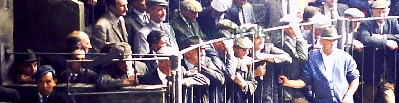  old Social history photos of Penrith Sheep Market 1969, Cumbria  - click image to return