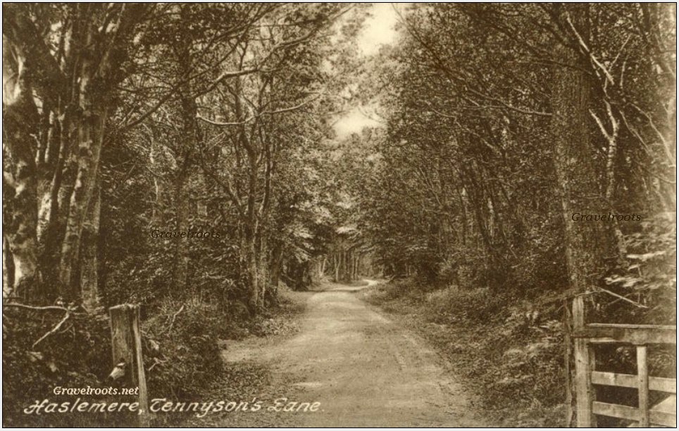 click image to return