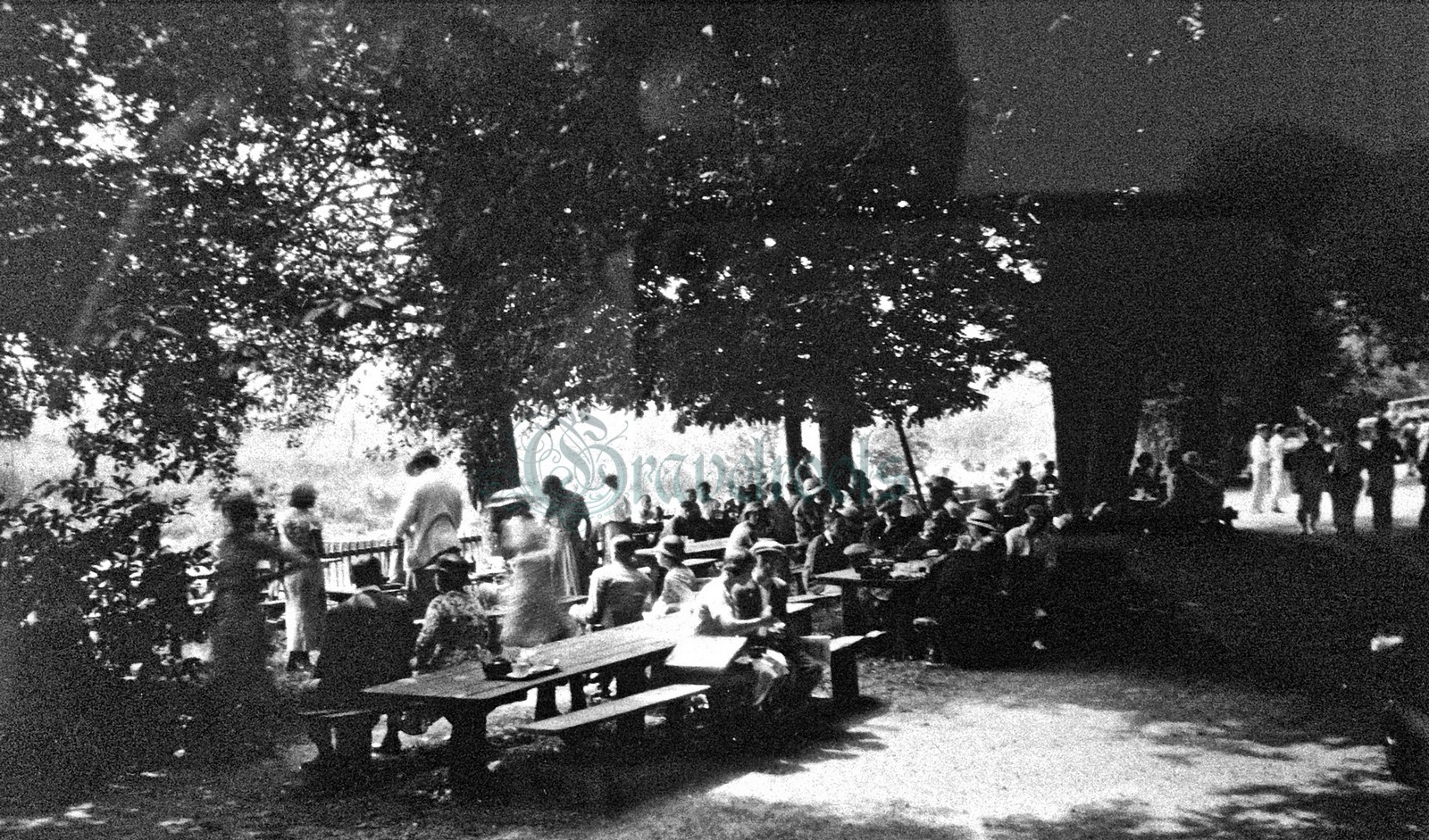 Black Rabbit, Old Arundel - click to return