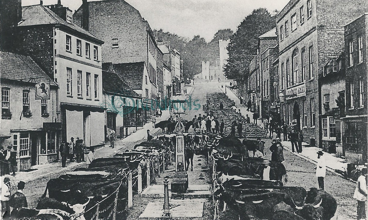 Old Arundel - click image to return