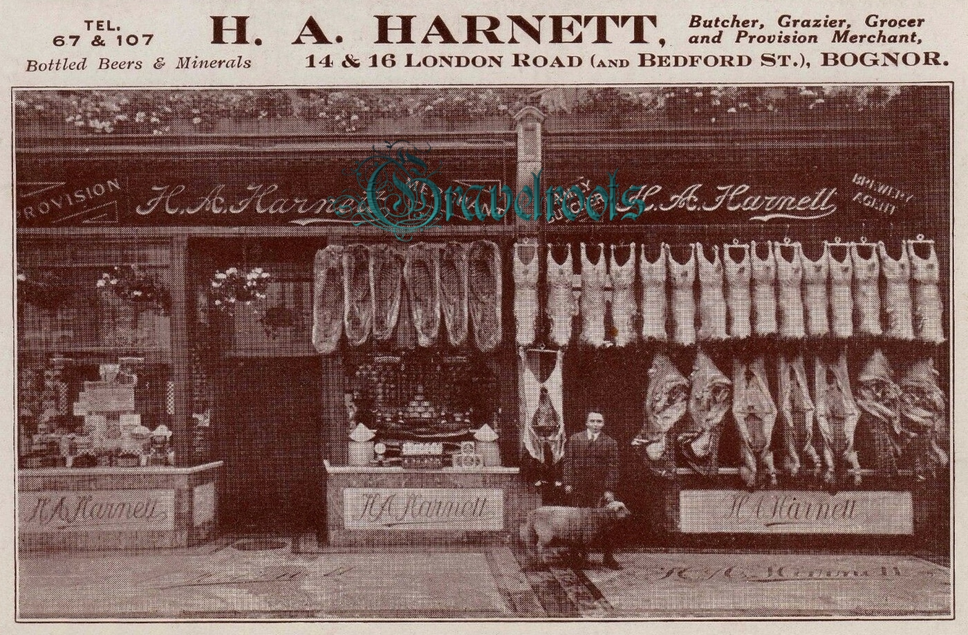 Bognor - click image below to return to album