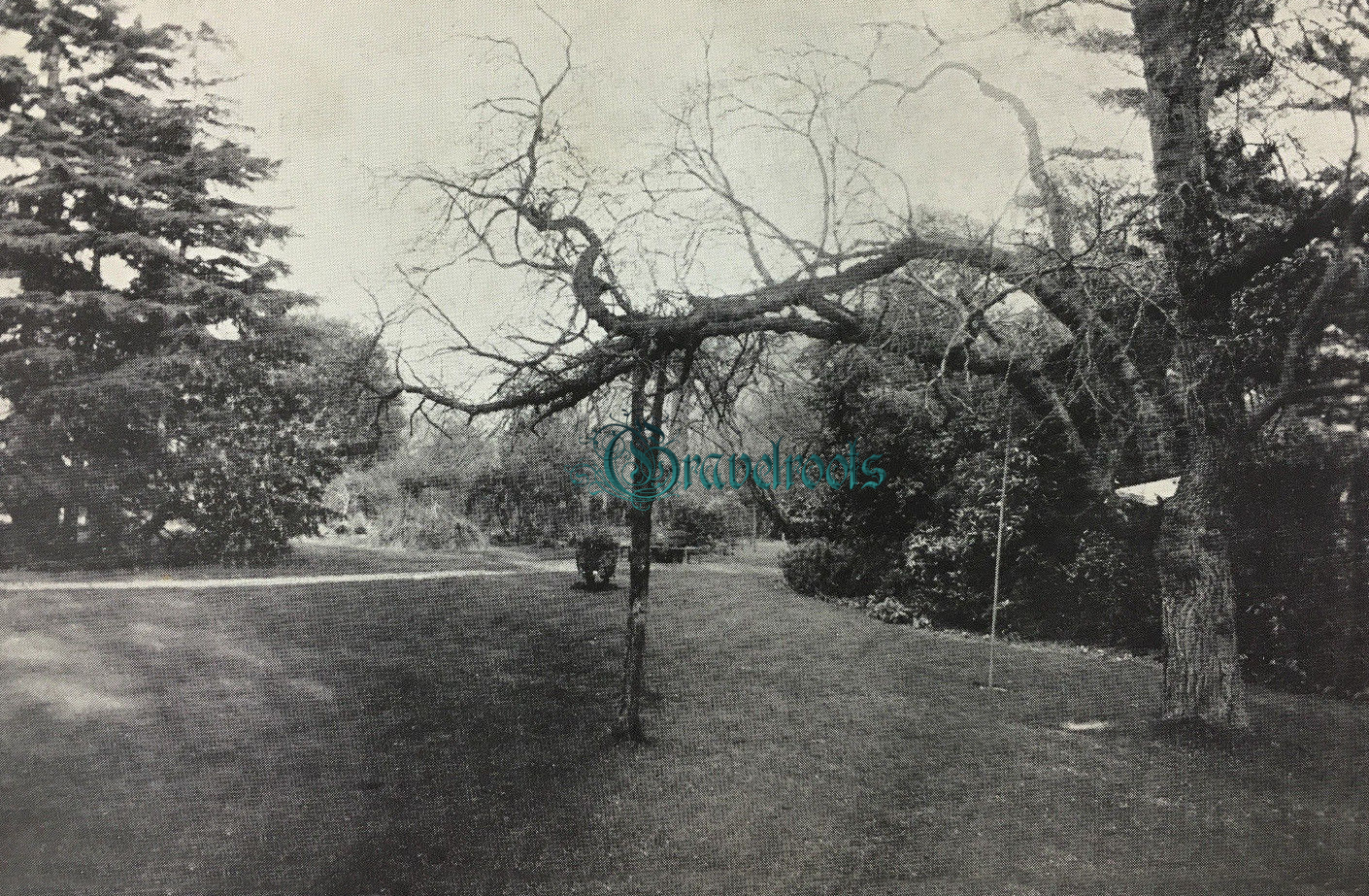 The Lawns, St Michaels school for girls, Upper Bognor Road, Bognor - click image to return to album