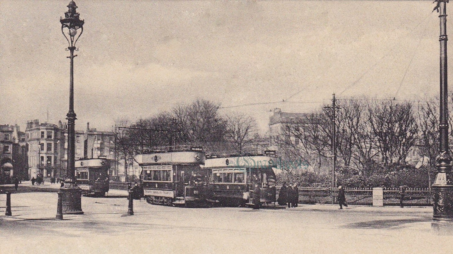 Old Stein Brighton - click image to return